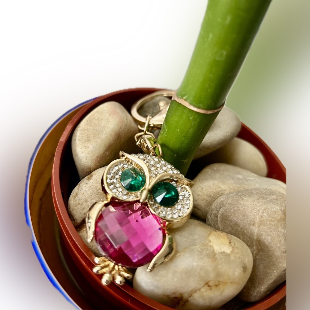 Elegant Crystal Rhinestone Pink & Green Accents Owl Fashion Keyring Keychain
